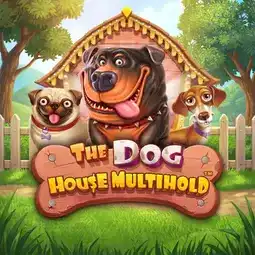 The Dog House Multihold game at AmunRa Casino for Australia players